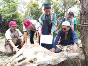 Read more about the article Yayasan Ikhlas distributed Korban meat to 3,574 families